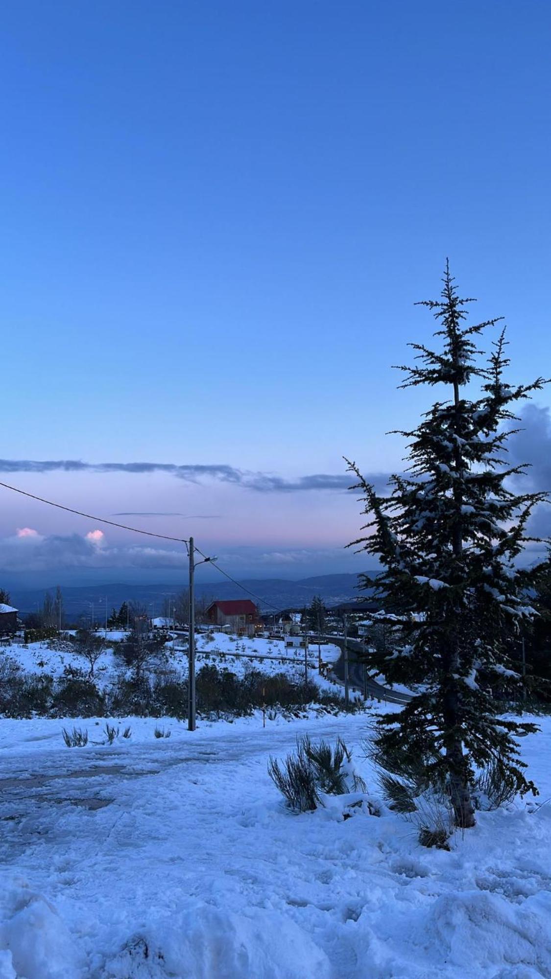 Casa Dos Pinheiros - Serra Da Estrela Penhas da Saúde Eksteriør billede